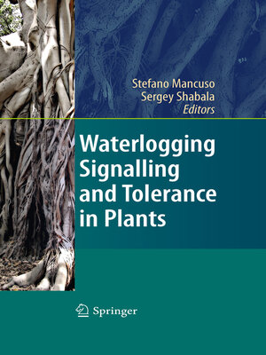 cover image of Waterlogging Signalling and Tolerance in Plants
